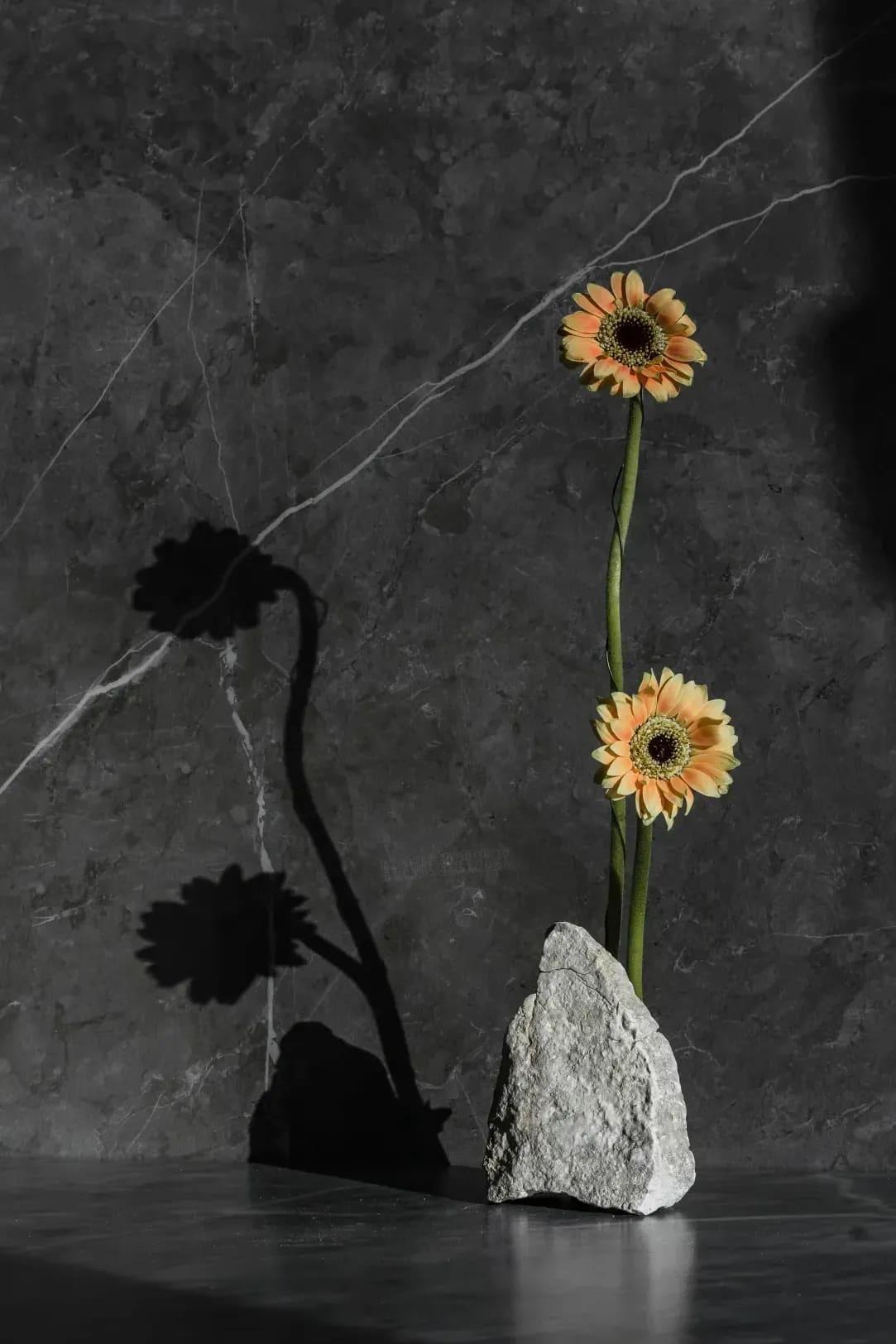 参考シナリオ：初回のお問い合わせ（ikebana）